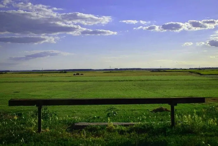 A simple wooden bench with dark weathered slats in a green field illustrating raw land for land development site plans