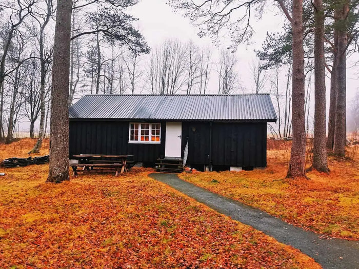 Black wooden cabin with white-framed window and corrugated metal roof as an alternative to a shipping container home