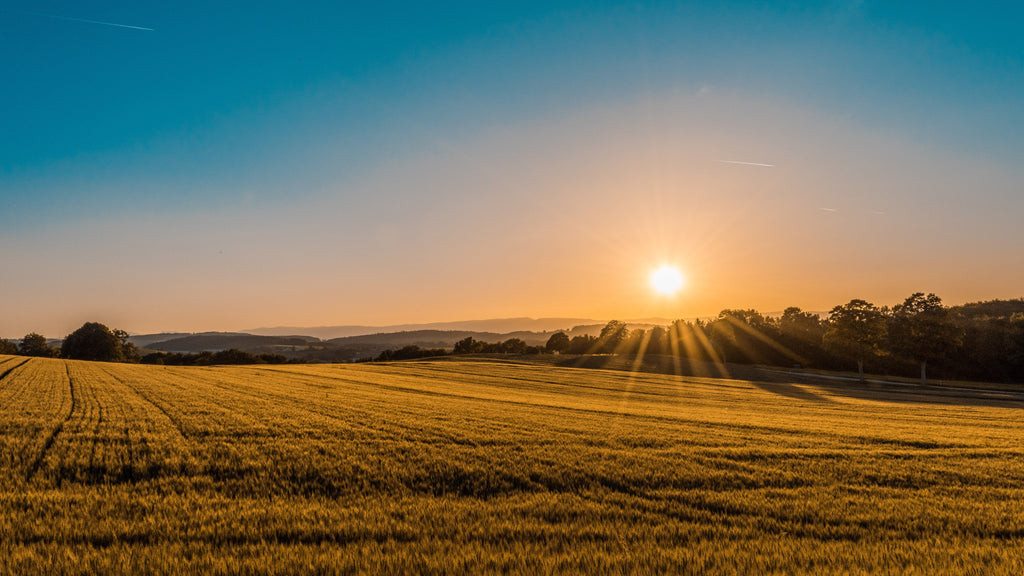 The Do's and Don'ts of Buying Vacant Land -My Site Plan