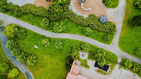 green backyard showing curved pathways
