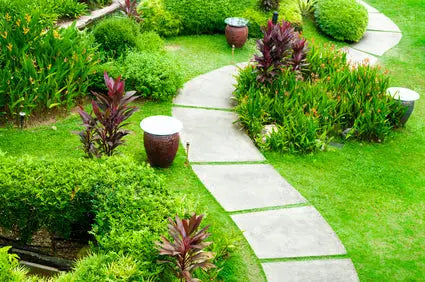 How to Plan New Paths for Your Garden