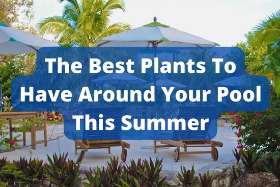 A beautiful backyard pool decorated with around with plants