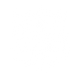 White pixelated cat face emblem